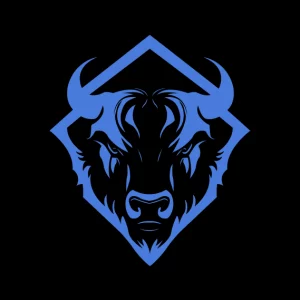 Logo bizon bleu forfait duo