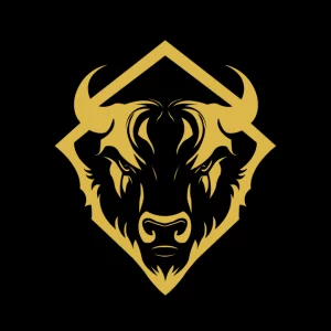 Logo bizon jaune forfait solo